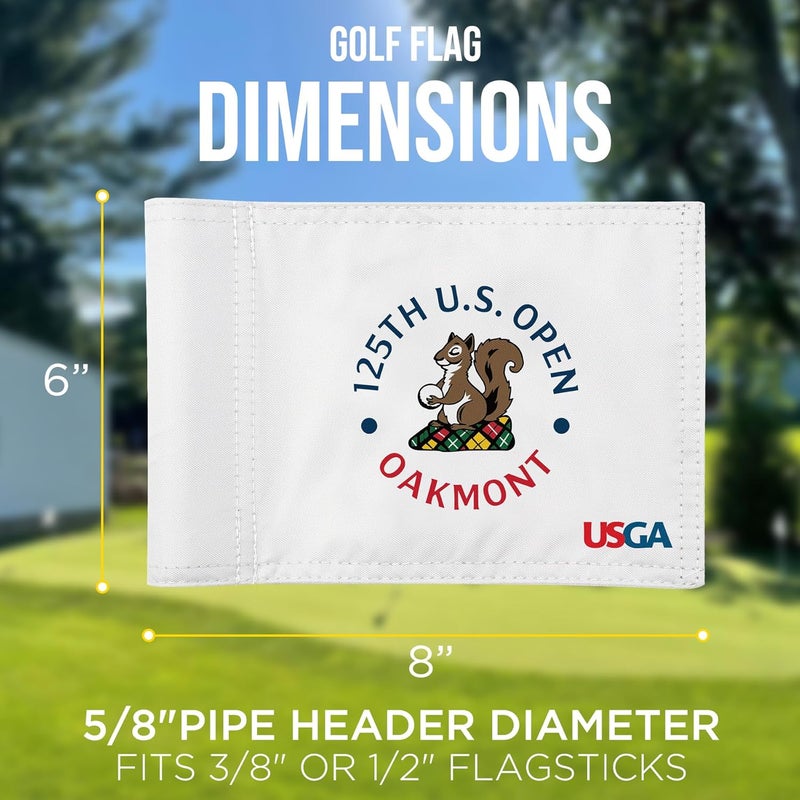 COGOLFING 2025 Themed Mini Golf Flag, 8x6 Inch, Double-Sided Silk-Printed, Durable 420D Nylon, Ideal for Backyard Practice Putting Green - Image 5